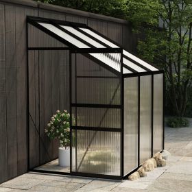 Greenhouse Anthracite Aluminum 140.1 ftÂ³